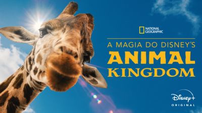 Animal Kingdon