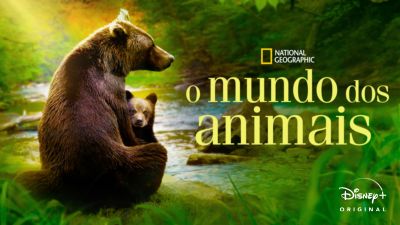 O Mundo dos Animais