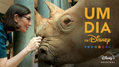 Um Dia na Disney